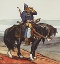 Фотография Tiger Bobo