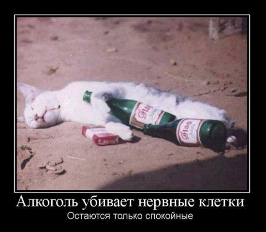 Яна Солнцева | Харьков