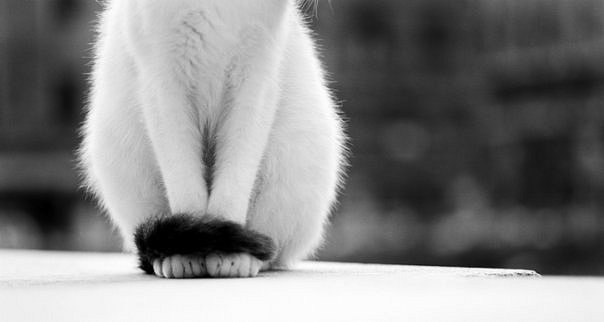 Валентина Овчинникова | Москва