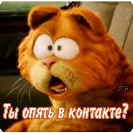 Даша Захарчук | Таураге