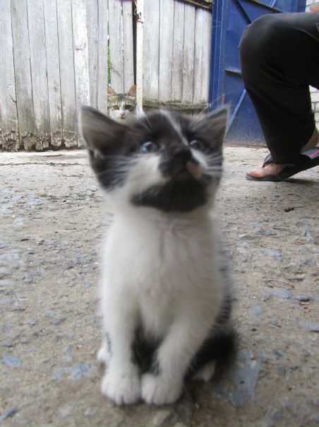 №34, Светлана Дубинкина №34, Светлана Дубинкина