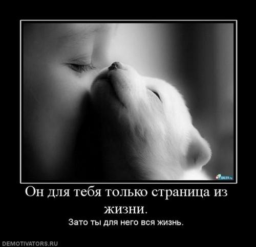 №168, Юлия Галюк, 36 лет №168, Юлия Галюк, 36 лет