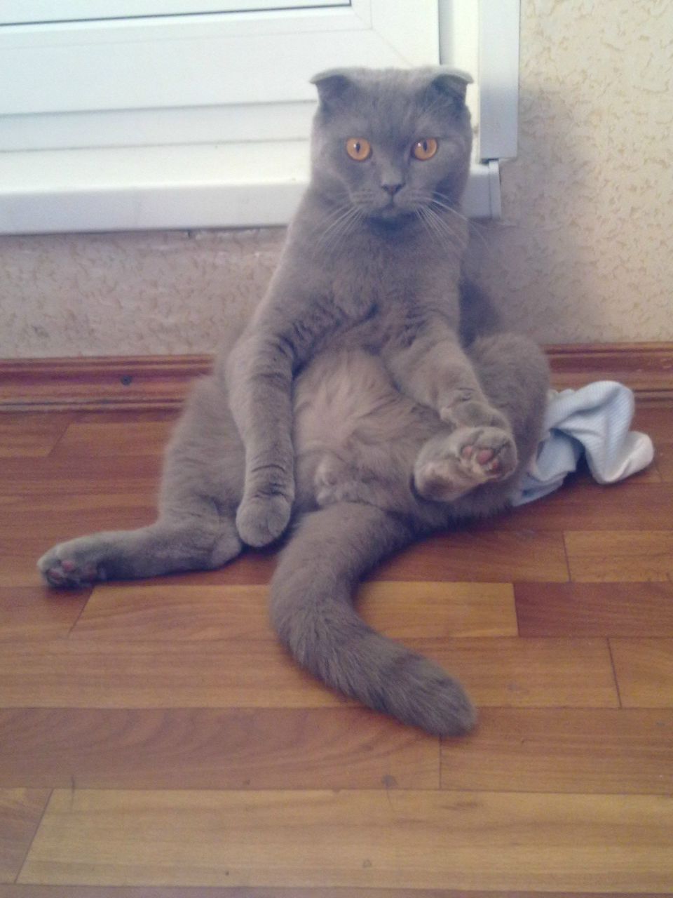 Наталия Цыганова | Санкт-Петербург