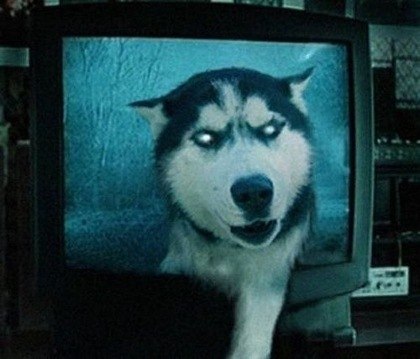 Павел Мамин | Москва