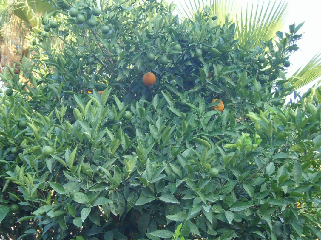 Мария Перевозчикова | Ижевск