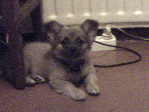 Настюша Павлова | Кондопога