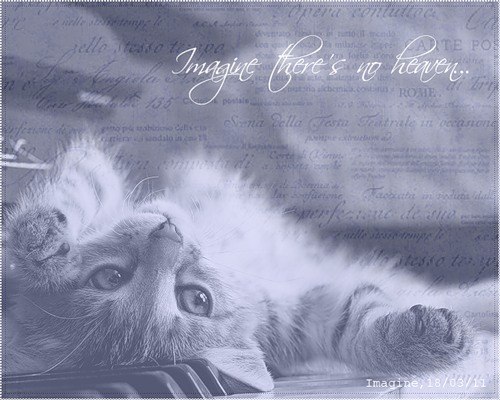 №14, Валечка Загвоздина №14, Валечка Загвоздина