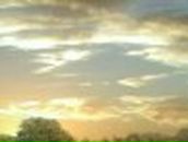 Илья Норок | Калуга