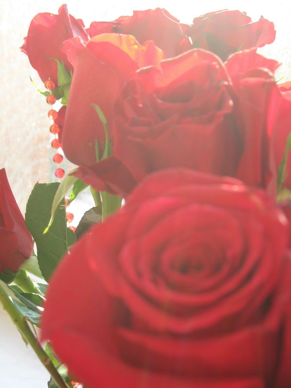 Мария Потёмкина | Санкт-Петербург