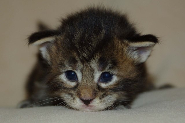 Марьяна Клестова ஐღ♥Владимировнаஐღ♥ | Москва