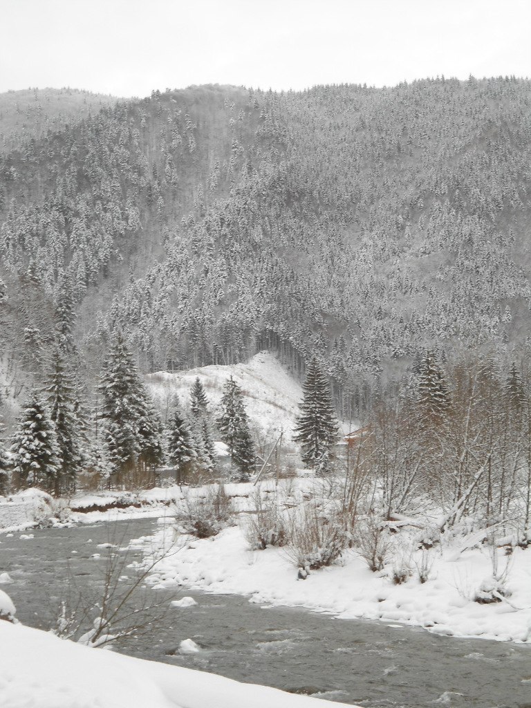 Анастасия Оробей | Киев