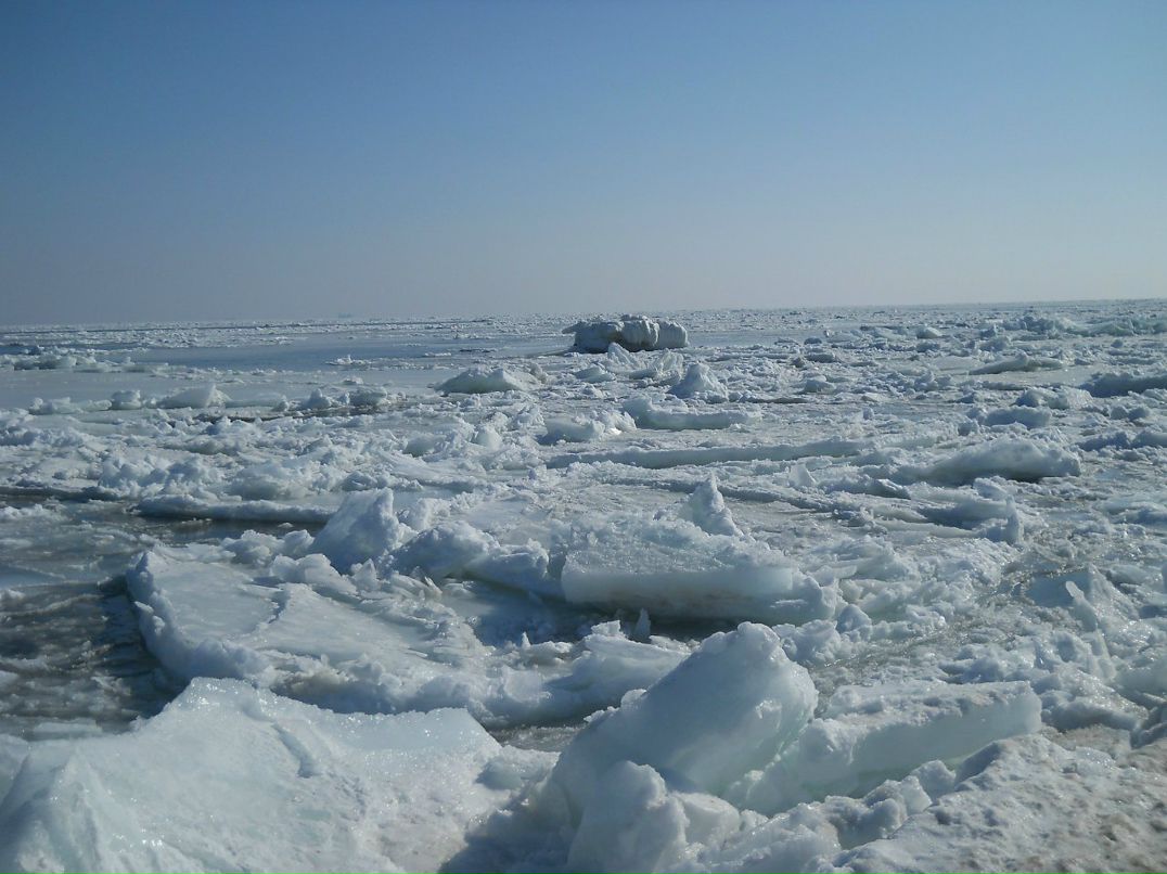 Серёга Смоляр | Одесса