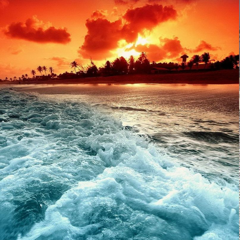 Александра Анкинфиева | Ярославль