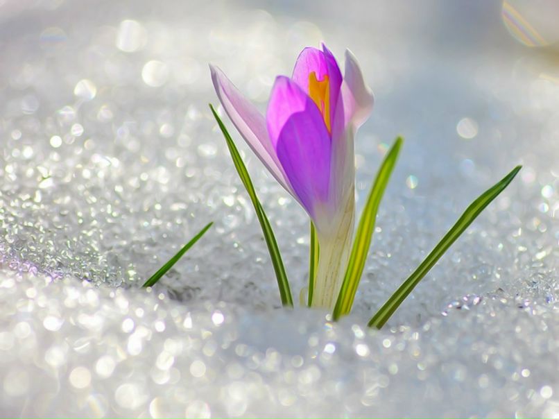 Алёна Перепечкина | Ярославль