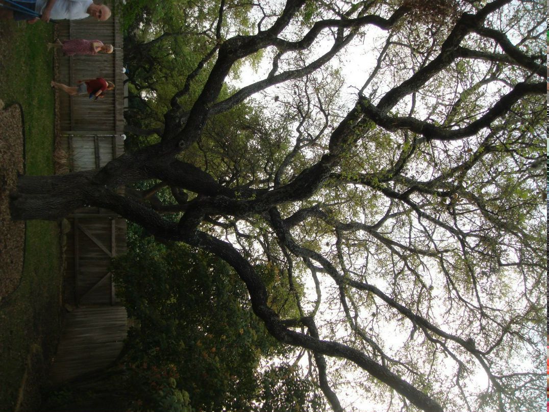 Саня Христюк DEEDJEE | Spokane