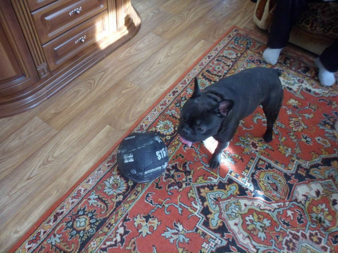 Александр Шевцов | Нижний Новгород