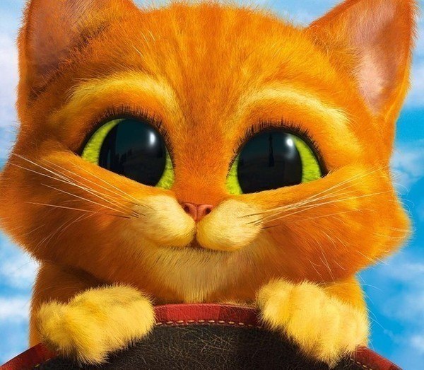 Роберт Гафуров | Казань