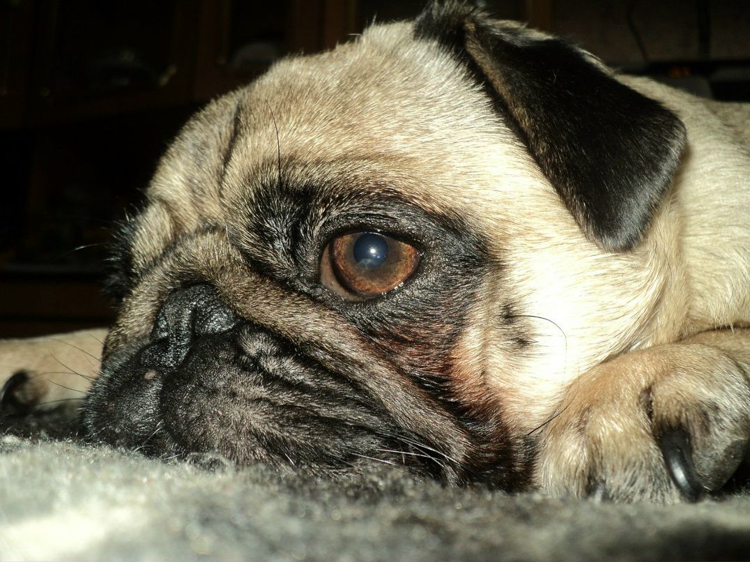 Ольга Рыкова | Рощино