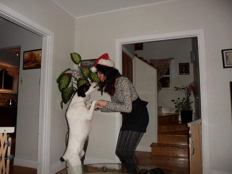 Карина Хачикян | Montréal