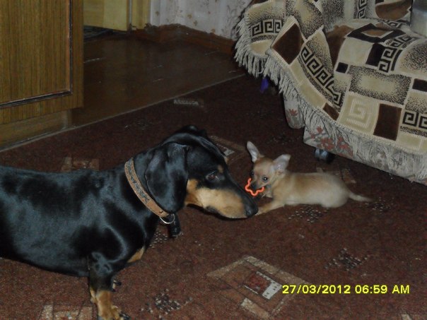 №88, Олеся Семакова, Северодвинск №88, Олеся Семакова, Северодвинск