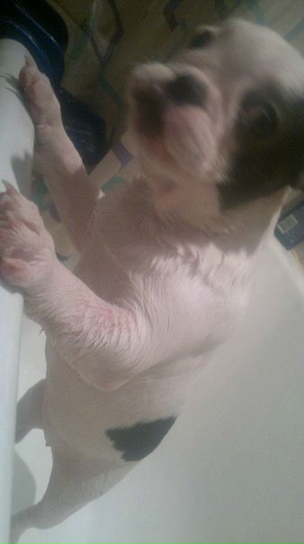 №48, Регина Караваева, Санкт-Петербург №48, Регина Караваева, Санкт-Петербург