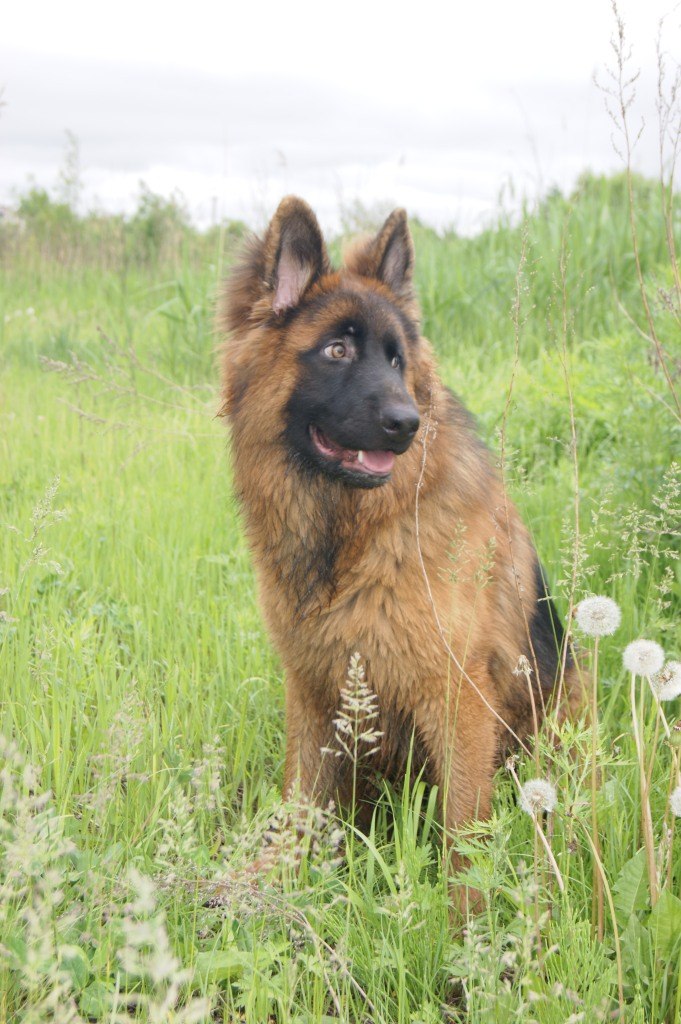 Екатерина Гравшенкова | Хабаровск