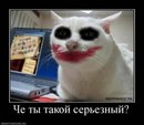 Фотография Babichev Danil