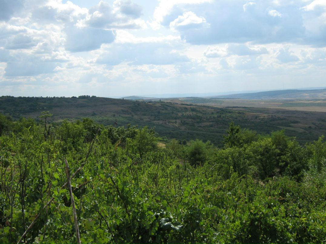 Надежда Михайлова | Москва