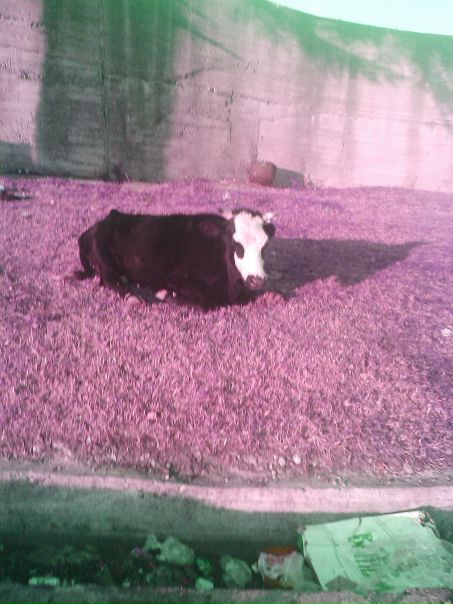 №99, Станислав Задираев, 44 года, Санкт-Петербург №99, Станислав Задираев, 44 года, Санкт-Петербург