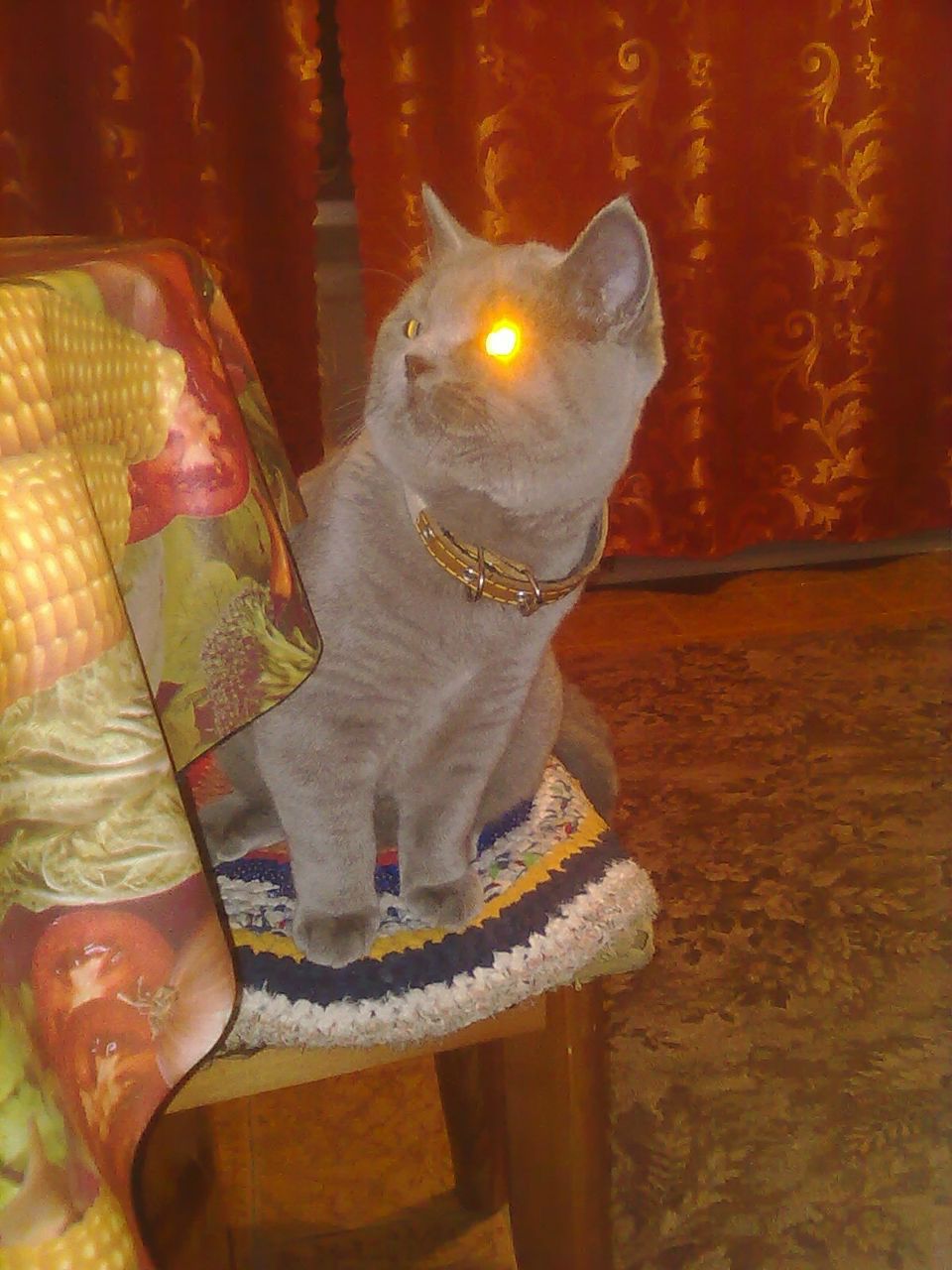 Танюшка Николаева | 