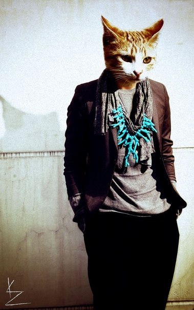 №2, Александр Залесов, 37 лет, Барнаул №2, Александр Залесов, 37 лет, Барнаул