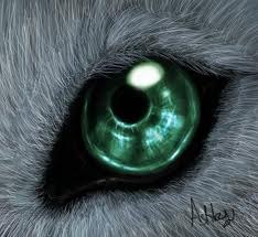 Валерия Иванова | Санкт-Петербург