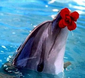 Саня Гринь | Antananarivo