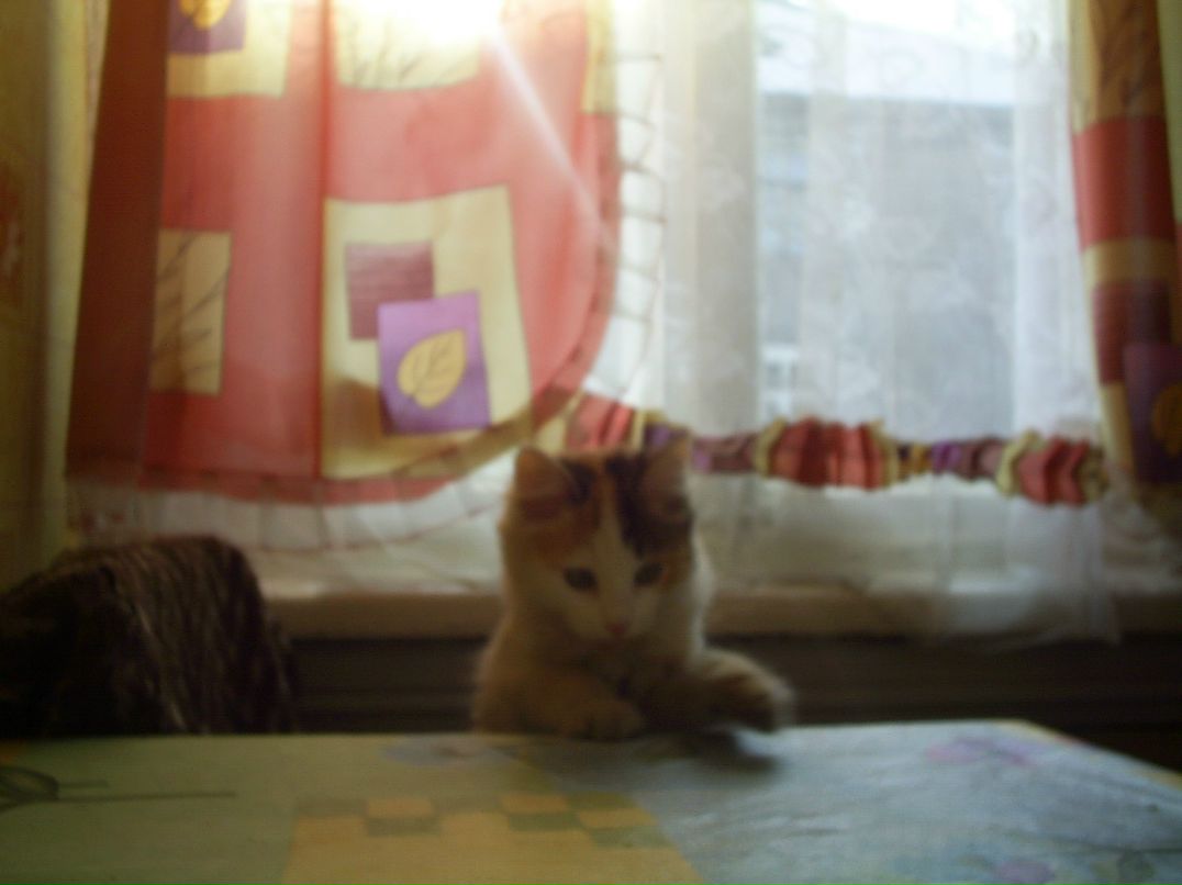 Любовь Скрябина | Медвежьегорск