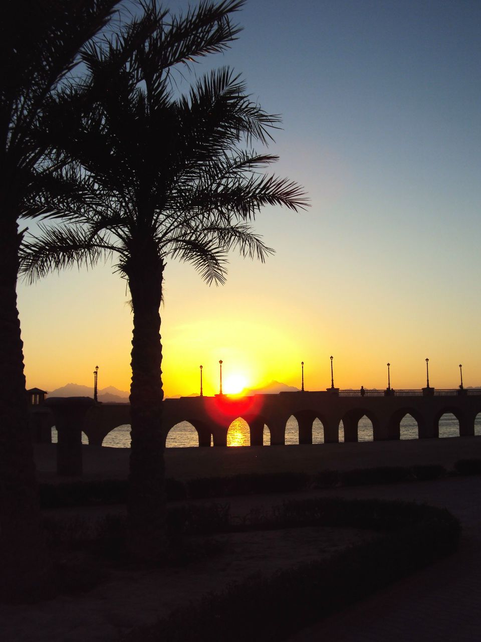 Олька Горина | Клин