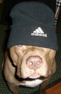 Просто Саня | 