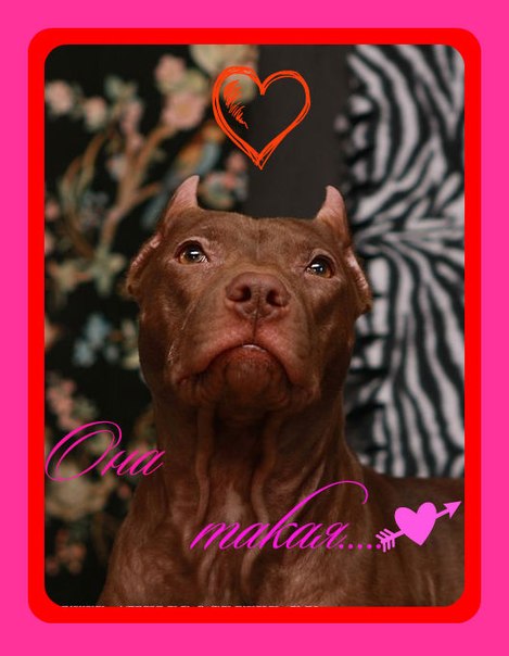 №80, Рим Усенко, Ачинск №80, Рим Усенко, Ачинск