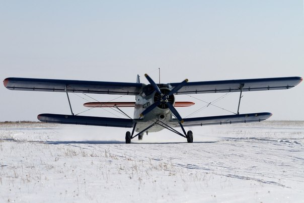 №19, Илья Новиков №19, Илья Новиков