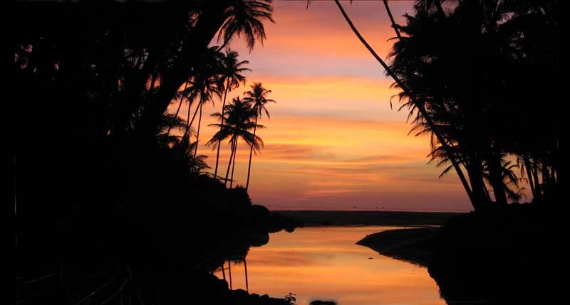 Глеб Крипалу | Киев