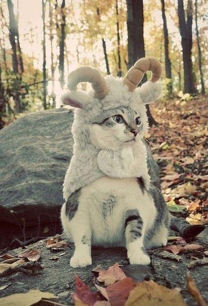 Olga Baryshnikova | Киев