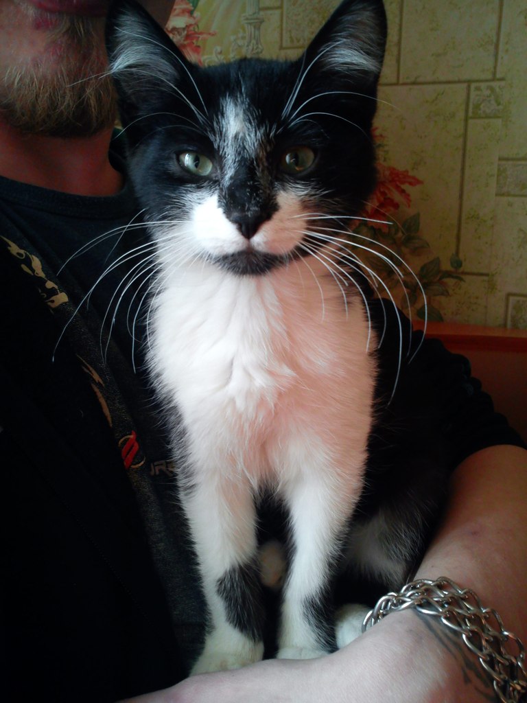 Владимир Ильич | 