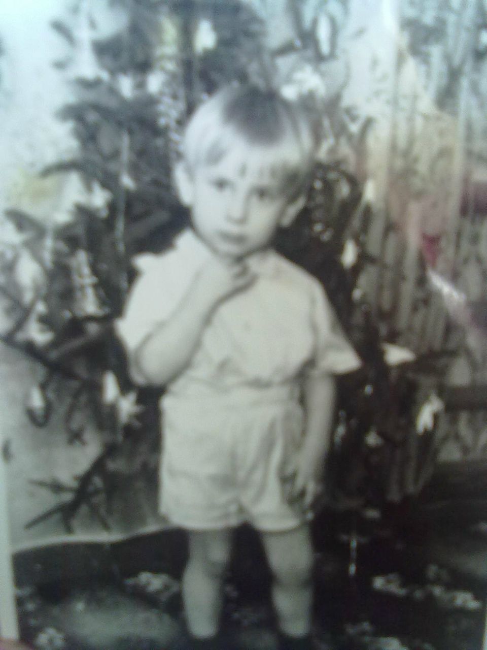 Денис Морев | Запорожье