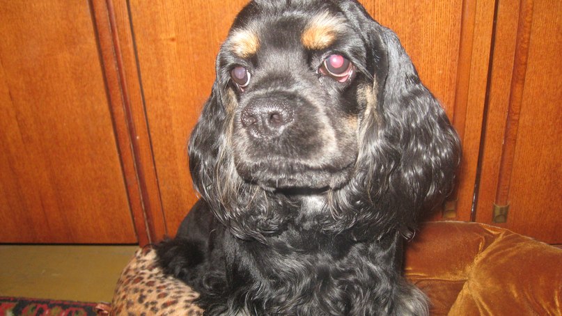 Анастасия Клименко ツ♥ツ♥ツкуклаツ♥ツ♥ツ | Краматорск