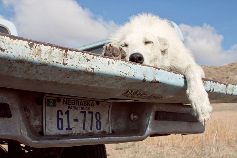 Purple Eater | Москва