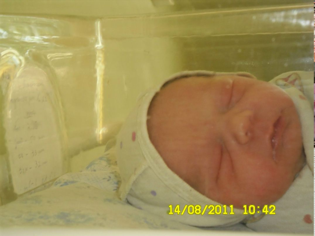 Анатолий Тарамжин | Архангельск