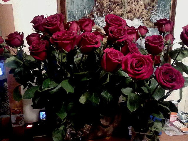 Надя Богачёва | Москва