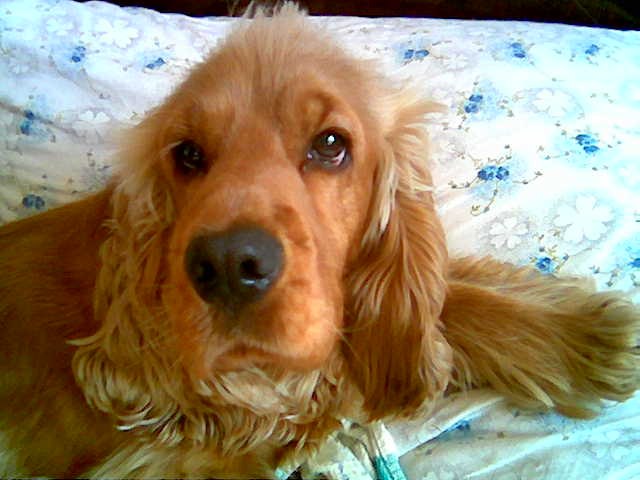 Тамара Коннова | Стерлитамак