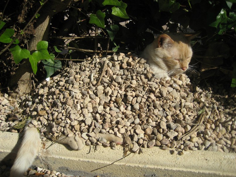 Ольга Егупова | l'Albir