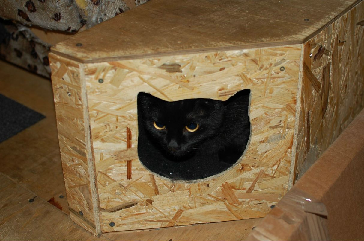 Макс Соколов | Нижний Новгород