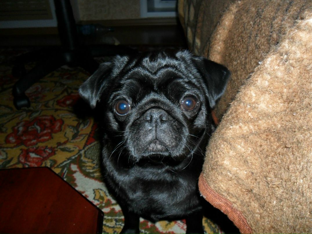 Наталья Андрусенко | Волгодонск